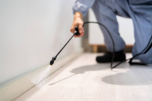 Licensed Mosquito Control service in Centreville, VA - Show Me Pest Control
