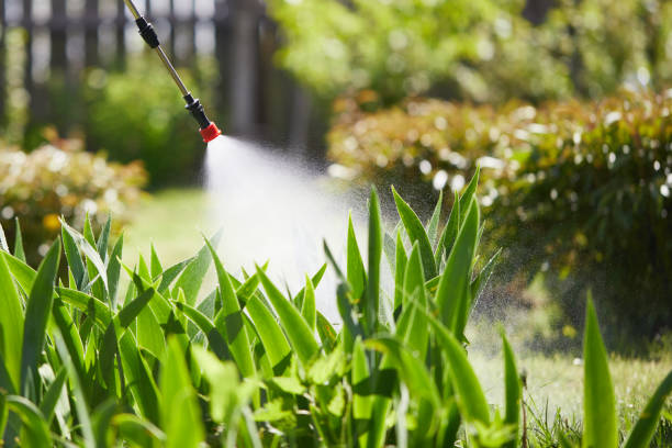24/7 Emergency Mosquito Control experts in Centreville, VA